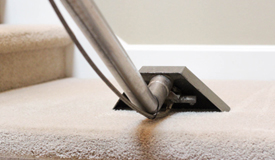 Carpet Cleaning